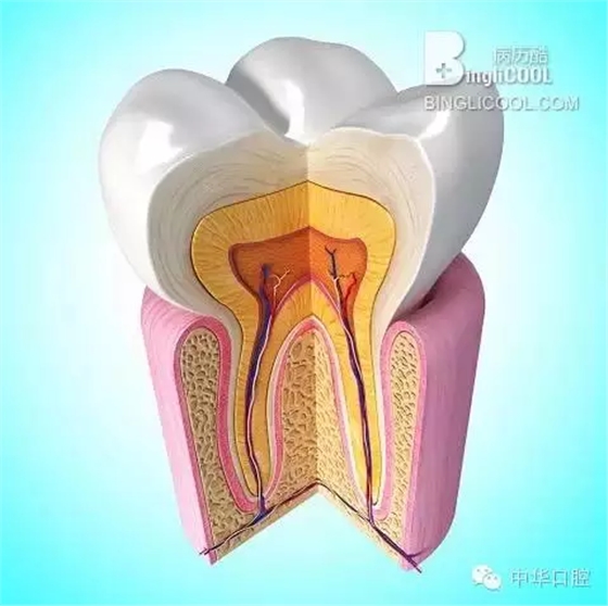 QQ圖片20150711163859.png QQ圖片20150711163859.png