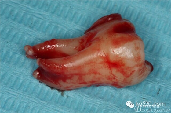 QQ圖片20150712143704.jpg QQ圖片20150712143704.jpg