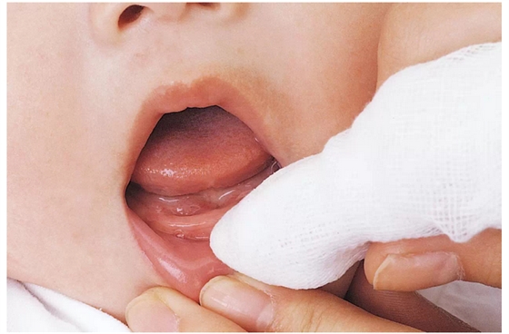 圖集寶寶長牙各階段牙齒護(hù)理方法?。ê脣寢尀閷殞氄洳兀? border=