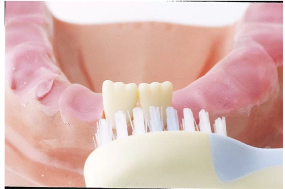 圖集寶寶長牙各階段牙齒護(hù)理方法?。ê脣寢尀閷殞氄洳兀? border=
