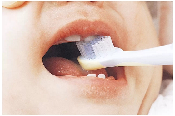 圖集寶寶長牙各階段牙齒護(hù)理方法?。ê脣寢尀閷殞氄洳兀? border=