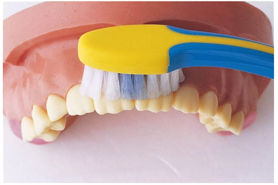 圖集寶寶長牙各階段牙齒護(hù)理方法?。ê脣寢尀閷殞氄洳兀? border=