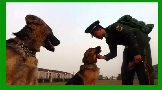 QQ圖片20150802114401.png QQ圖片20150802114401.png