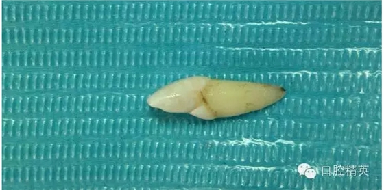 QQ圖片20150804105543.png QQ圖片20150804105543.png