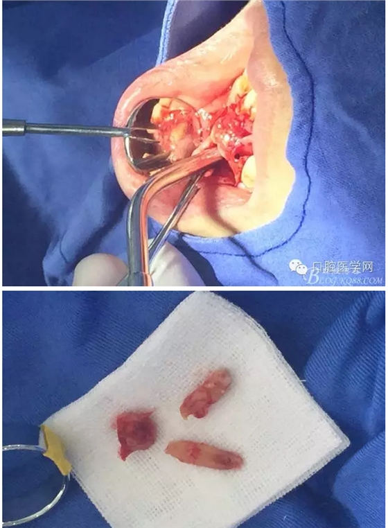 QQ圖片20150804150716.png QQ圖片20150804150716.png