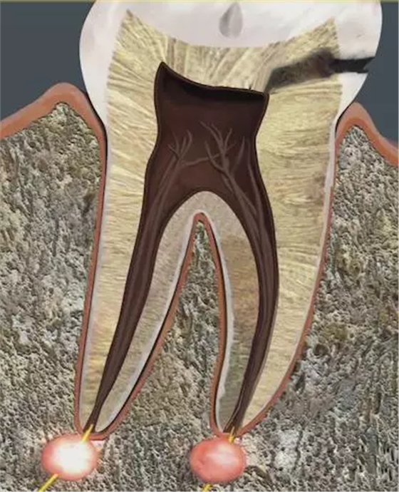 QQ圖片20150812094732.png QQ圖片20150812094732.png