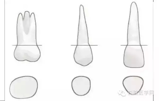 90.webp.jpg 90.webp.jpg