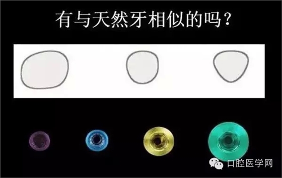 91.webp.jpg 91.webp.jpg