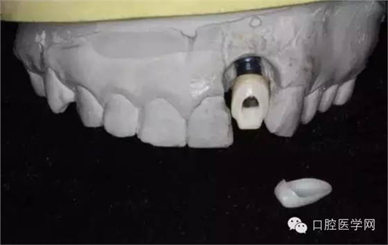 107.webp.jpg 107.webp.jpg