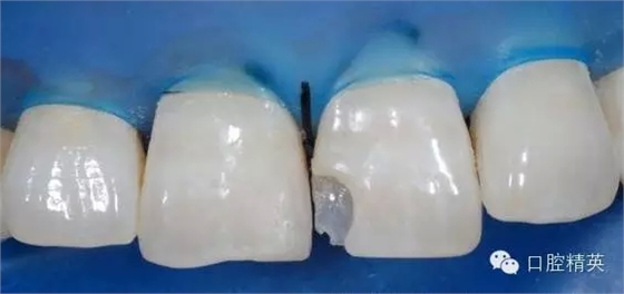 13.webp.jpg 13.webp.jpg