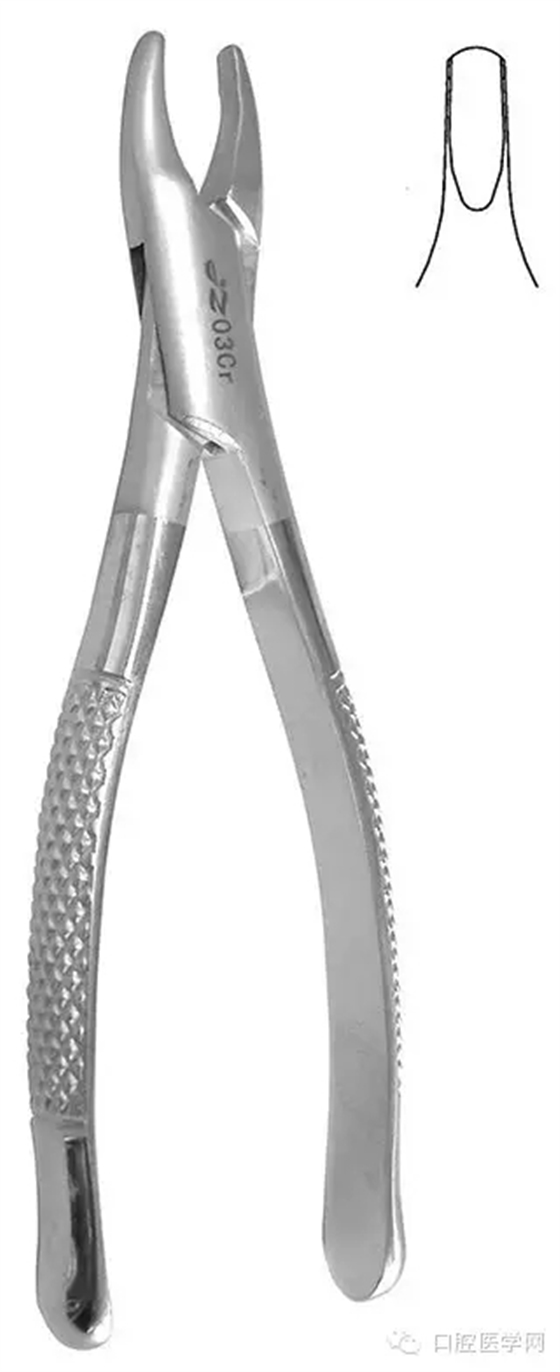 60.webp.jpg 60.webp.jpg