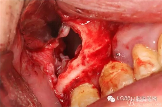 24.webp.jpg 24.webp.jpg