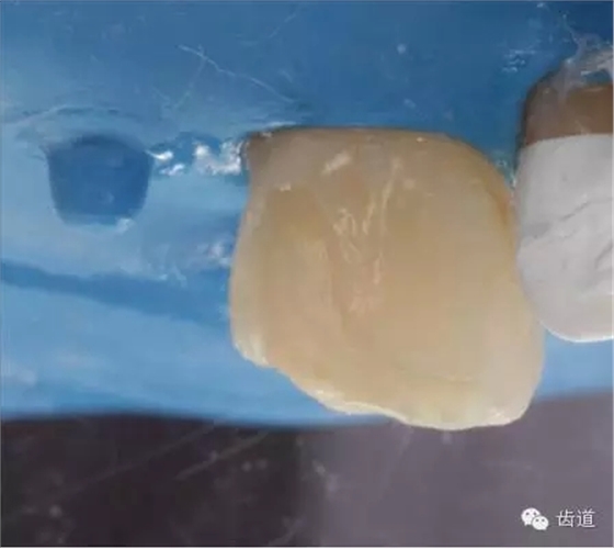 19.webp.jpg 19.webp.jpg