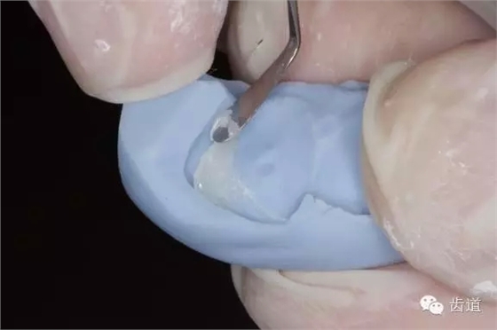 24.webp.jpg 24.webp.jpg