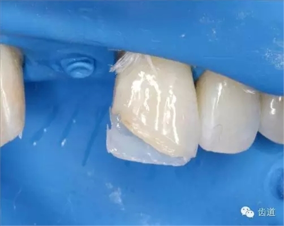 25.webp.jpg 25.webp.jpg