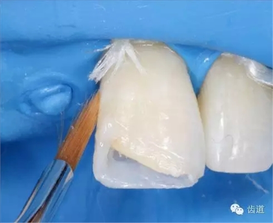 26.webp.jpg 26.webp.jpg