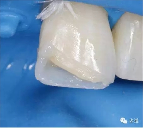 27.webp.jpg 27.webp.jpg