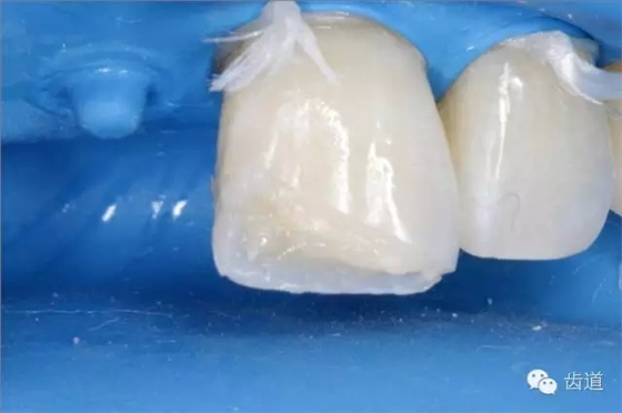 28.webp.jpg 28.webp.jpg