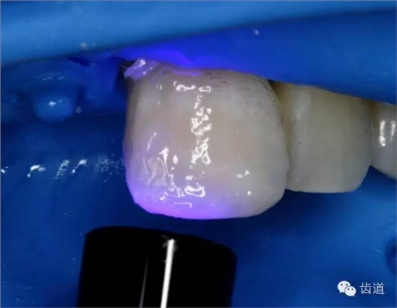 30.webp.jpg 30.webp.jpg