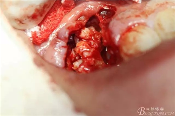 13.webp.jpg 13.webp.jpg