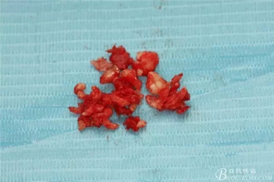 16.webp.jpg 16.webp.jpg