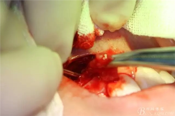 8.webp.jpg 8.webp.jpg