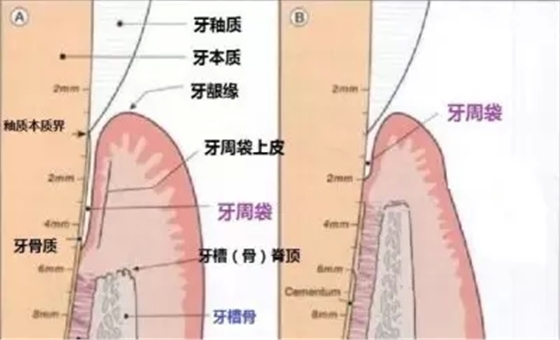 33.webp.jpg 33.webp.jpg