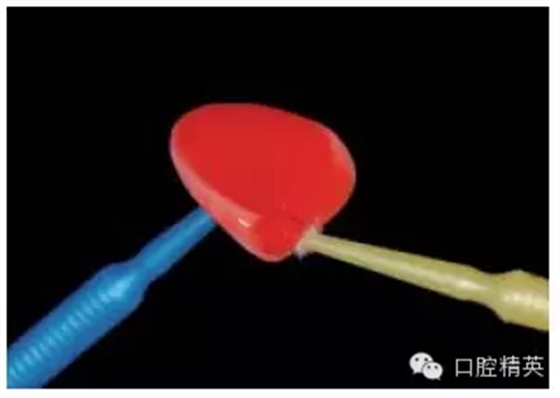 14.webp.jpg 14.webp.jpg