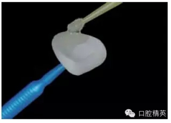 16.webp.jpg 16.webp.jpg