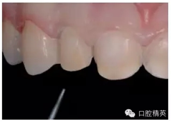 21.webp.jpg 21.webp.jpg