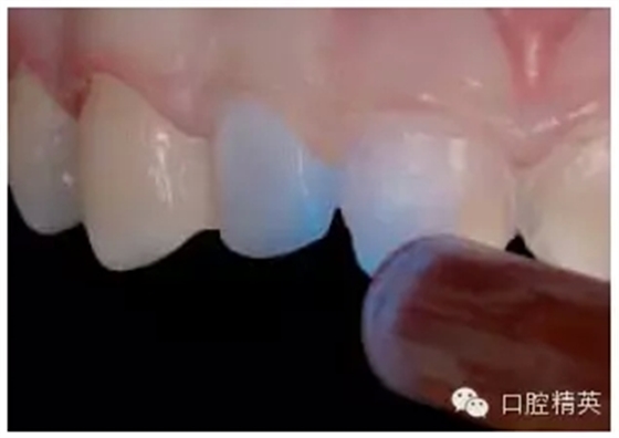 24.webp.jpg 24.webp.jpg