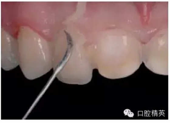 29.webp.jpg 29.webp.jpg