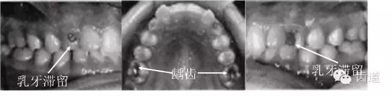 45.webp.jpg 45.webp.jpg