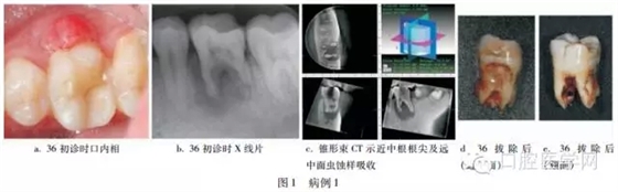 100.webp.jpg 100.webp.jpg