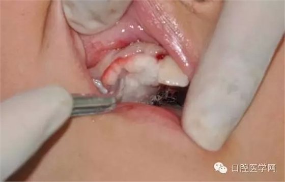 27.webp.jpg 27.webp.jpg