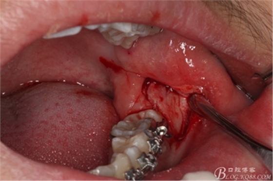 8_副本.jpg 8_副本.jpg