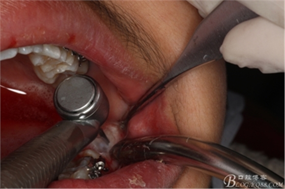 9_副本.jpg 9_副本.jpg