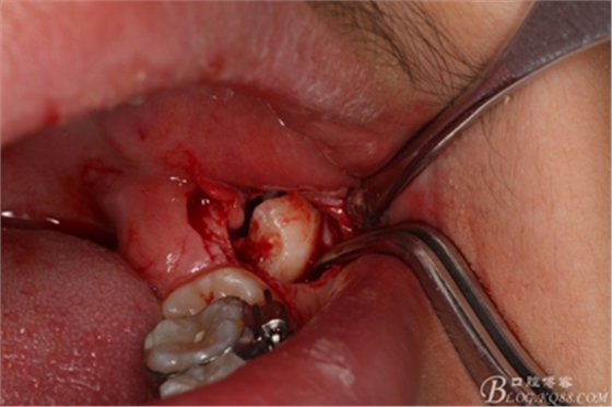 15_副本.jpg 15_副本.jpg