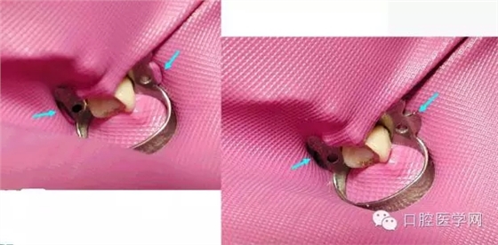 11.webp.jpg 11.webp.jpg