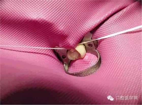 13.webp.jpg 13.webp.jpg