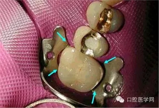 14.webp.jpg 14.webp.jpg