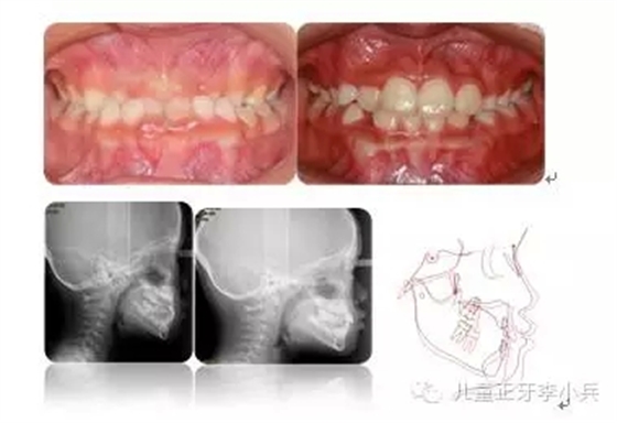 43.webp.jpg 43.webp.jpg