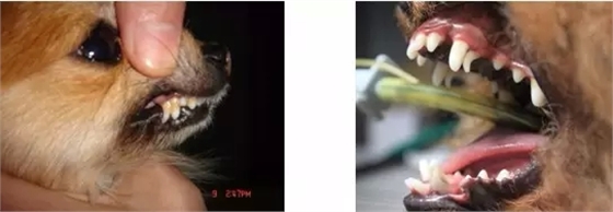 3.webp.jpg 3.webp.jpg