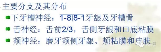 牙醫(yī)基礎(chǔ)知識(shí)：口腔頜面部應(yīng)用解剖生理