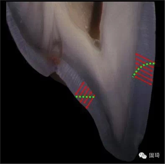 3.webp.jpg 3.webp.jpg