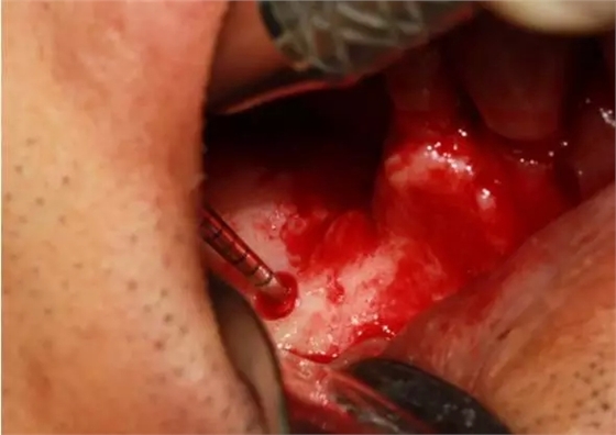 4.webp.jpg 4.webp.jpg