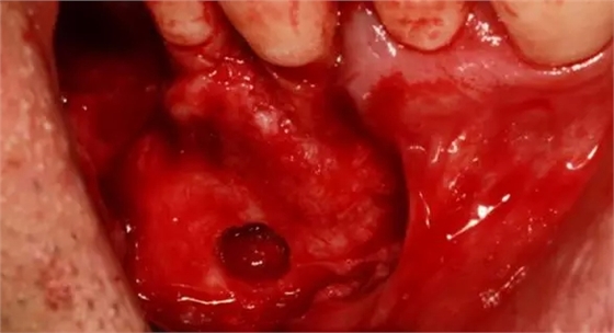 9.webp.jpg 9.webp.jpg