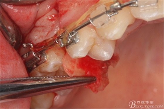 16_副本.jpg 16_副本.jpg