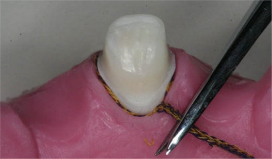 640 (2).png 640 (2).png