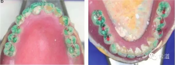 12.webp.jpg 12.webp.jpg